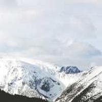 د. سارة محمد